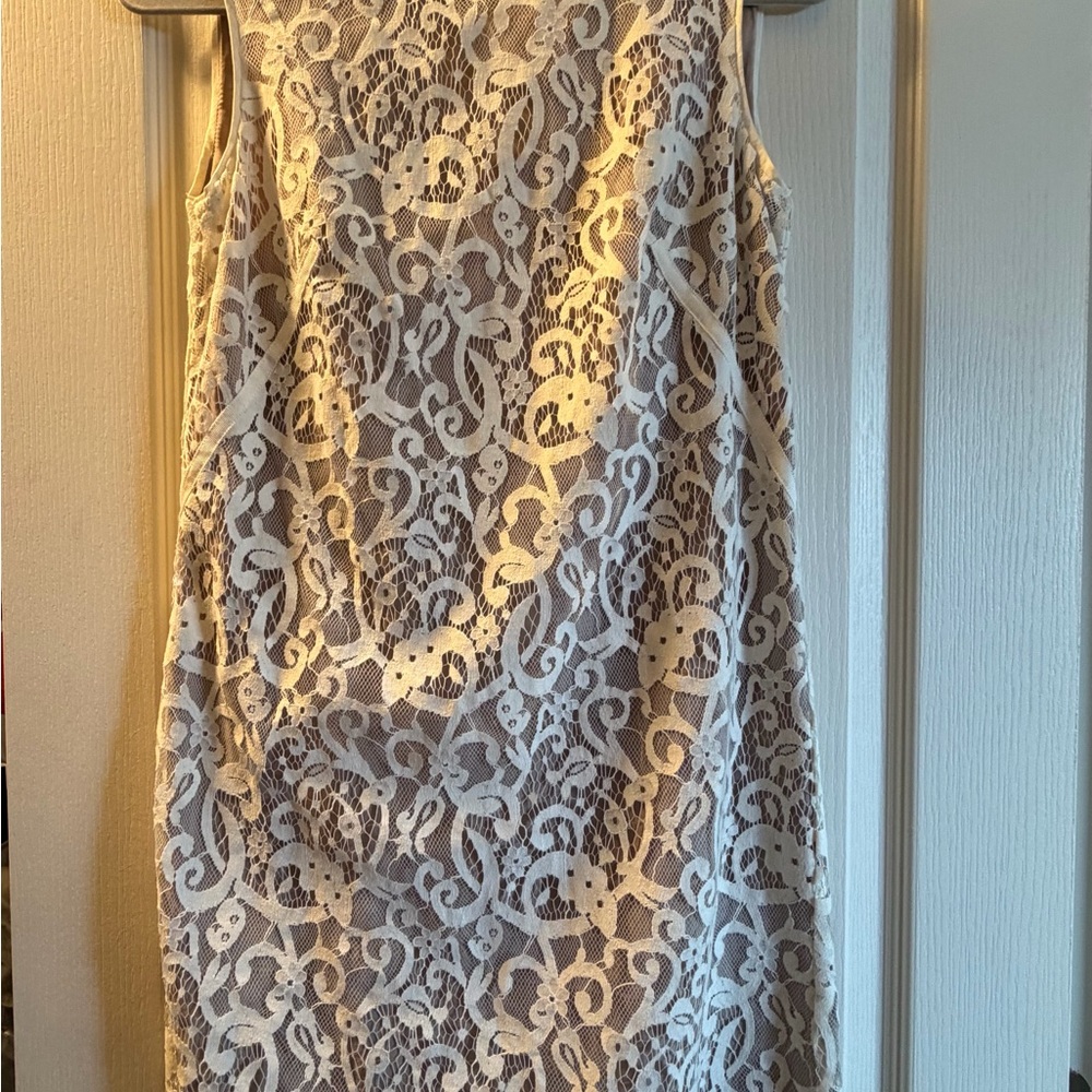 LOFT Lace Overlay Mini Dress - Cream